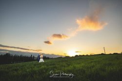 swancar farm country house wedding photography bride groom field at sunset